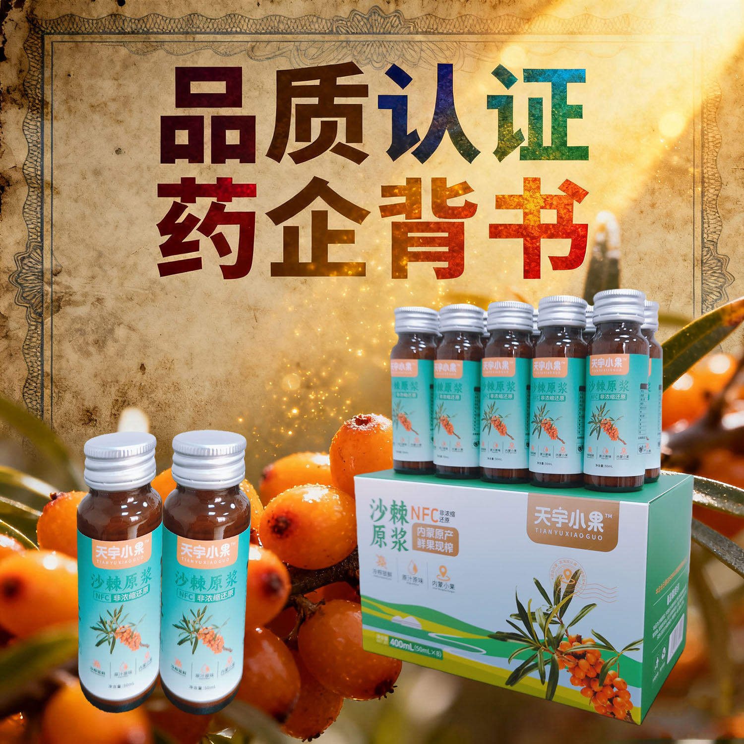 蒙草小果沙棘原浆沙棘黄酮原浆
