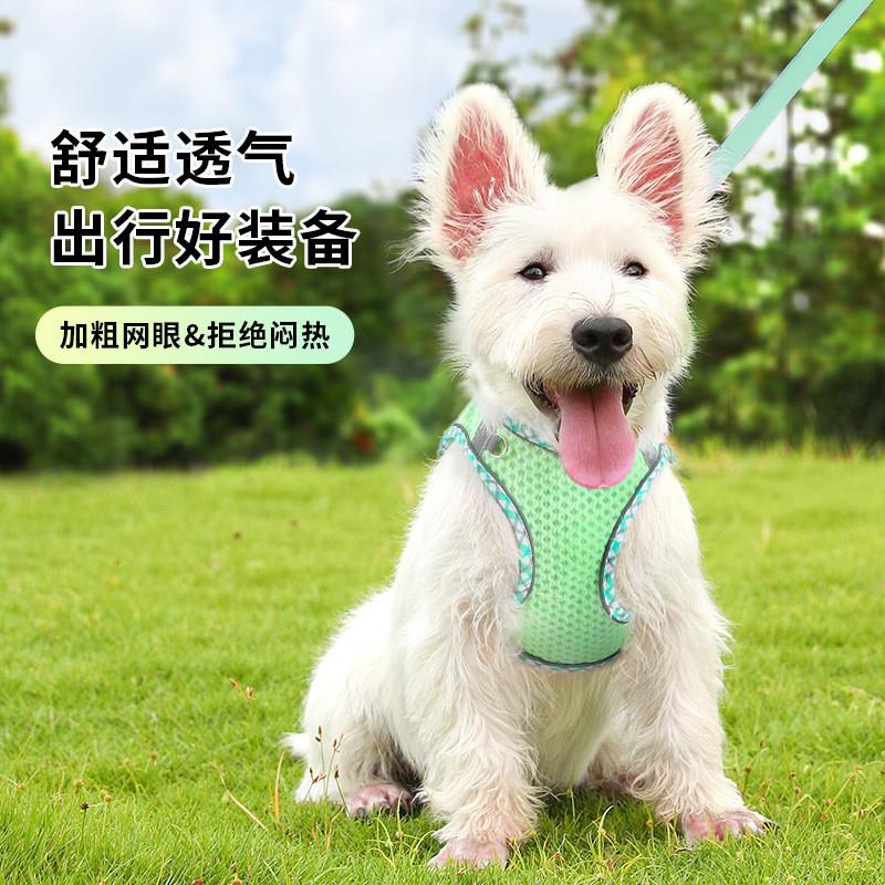 宠物外出牵引绳猫咪狗狗胸背带背心式遛猫绳牵狗绳子小狗中小型犬