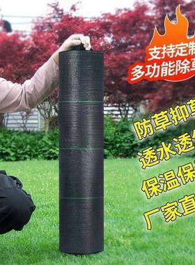 新坑老化除草布农用地布型膜地63571果园果用树耐环保防长草地钉