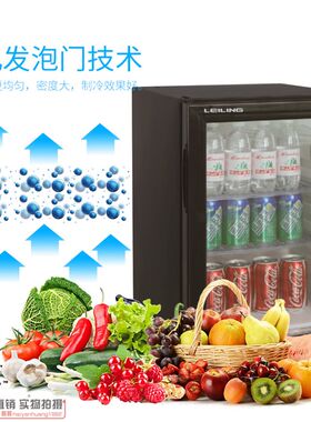 雷凌吸收式酒店客房小冰箱玻璃门迷你静音小冰柜冷藏透明保鲜柜40
