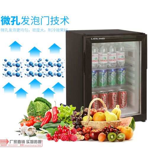 雷凌吸收式酒店客房小冰箱玻璃门迷你静音小冰柜冷藏透明保鲜柜40