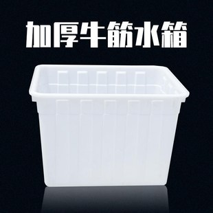 加厚牛筋塑料水箱长方形养鱼水产养殖浅盆家用储水桶W大容量塑料
