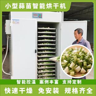 蒜苗烘干机可移动 全自动小型大蒜叶青蒜烘干房 新鲜蒜叶烘干设备