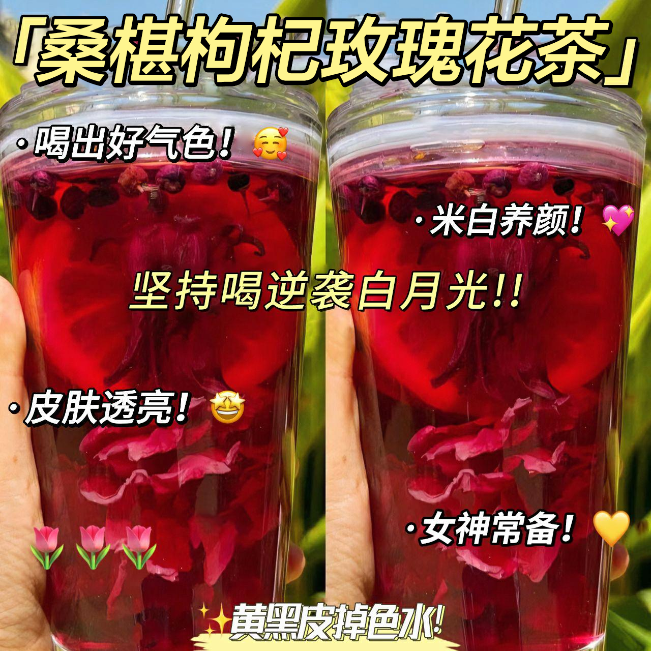 桑葚枸杞玫瑰花茶茶包适合女生喝