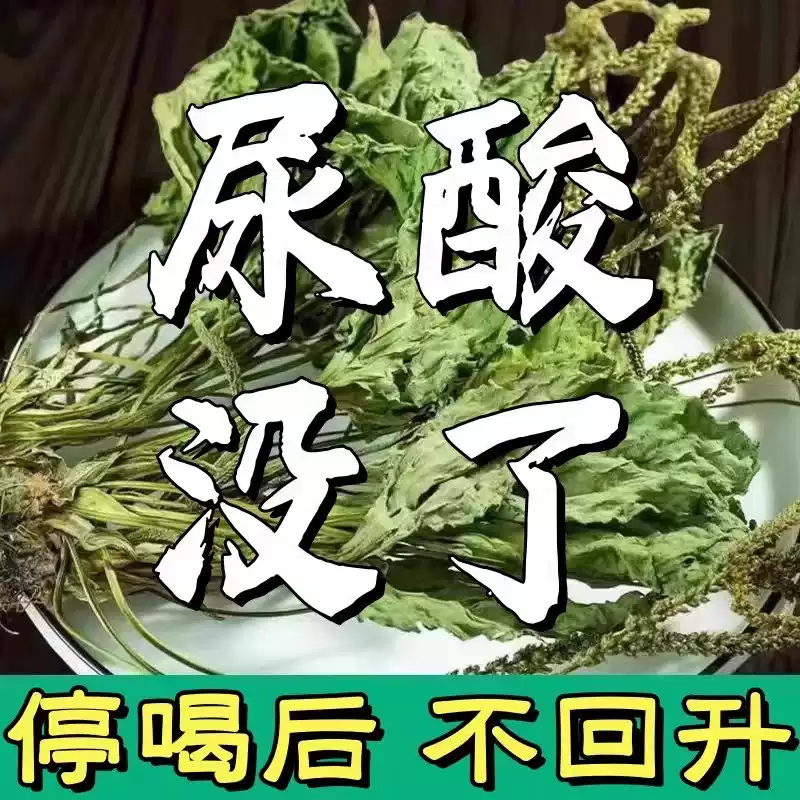 车前草野生车前草功效与作用泡水干货新鲜中药材草带根车钱草泡茶