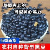 黑豆农家自种肾型黑豆黄芯5斤 老品种五谷杂粮发豆芽醋泡 包邮