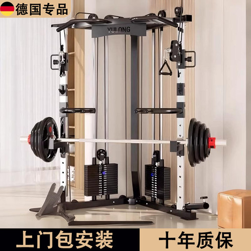 德国家用龙门架小飞鸟综合训练器