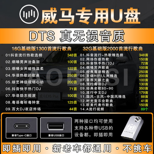威马车载u盘高品质音乐优盘