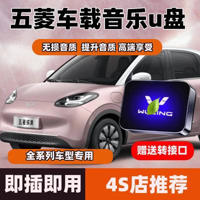 五菱车载U盘星光宏光MINI迷你EV星辰佳辰晴空缤果无损音乐优盘