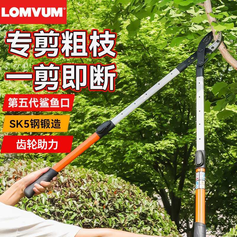 剪枝剪刀修枝果树专用园艺树枝剪修剪神器省力修大枝强力粗枝剪刀
