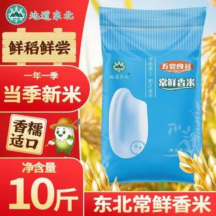 正宗东北大米圆粒珍珠米10斤稻香米臻香贡米五常市米业当季松花江