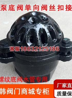 H12X-10抽水泵莲蓬头止回阀吸水阀丝扣DN25 40 50 65 80 100