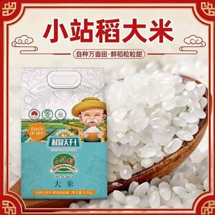 天津小站稻米正宗5斤大米圆粒香批发小站米珍珠米贡米新米粳米