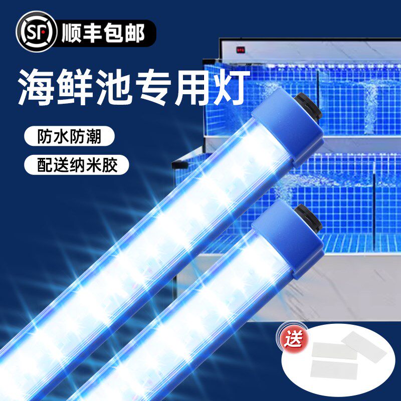 海鲜池专用灯鱼缸鱼池水产蓝色照明直插式免安装led防水长条灯管,家装灯饰光源,LED灯管,淘宝优惠券,粉丝福利购,淘宝优惠卷