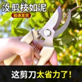 剪枝果树修枝剪刀园艺园林修花枝剪家用强力神器花剪剪枝花卉剪刀