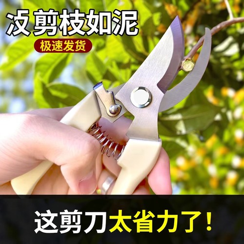 【园艺专用】家用强力果树修枝剪