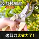 剪枝果树修枝剪刀园艺园林修花枝剪家用强力神器花剪剪枝花卉剪刀