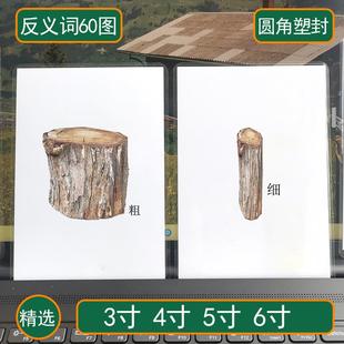 反义词卡片自闭症儿童语言训练卡认知教具配对相对词孤独症康复