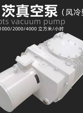 阿诺罗茨真空泵RS400INS0莱宝机斯械压泵WH(U )4400 大流量风增冷