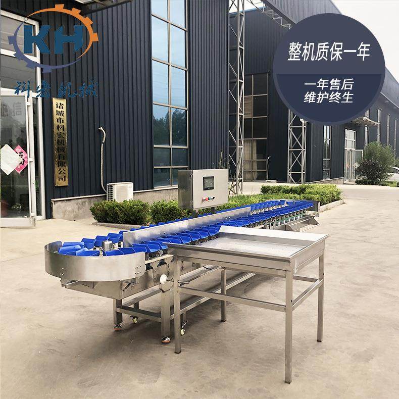 科宏鸡鸭副产重分机KHLH 禽肉类分品拣选机量 鸡翅鸡腿自动称重分,五金/工具,其他机械五金,淘宝优惠券,粉丝福利购,淘宝优惠卷