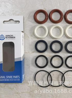 CODE 43620 RG24.10C 24.15C 意大利AR水泵水封组件 密封圈