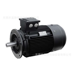 霍尔HOYER三相异步低压电机TEFV鼠笼400V Y – Hoyer IE2 电机  3