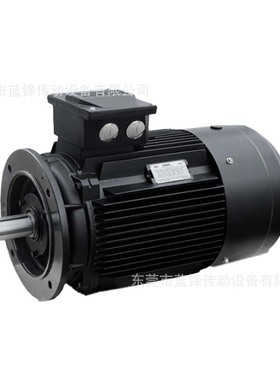 霍尔HOYER三相异步低压电机TEFV鼠笼400V Y – Hoyer IE2 电机  3