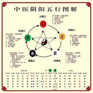 中医养生五行子午流注挂图 金木水火土五行图五脏六腑墙贴海报