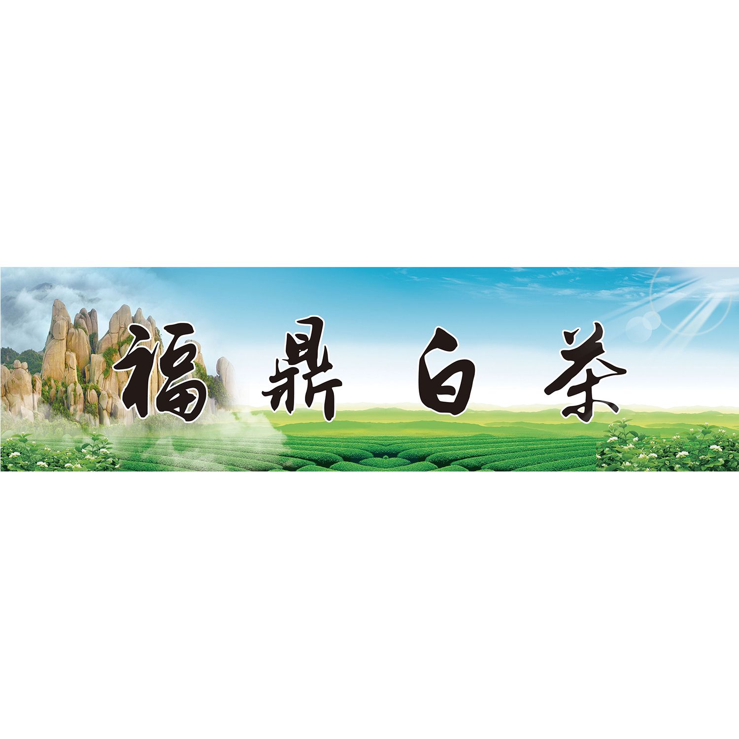 茶的功效广告画福鼎白茶简介海报贴纸白茶的功效墙贴墙纸KT板