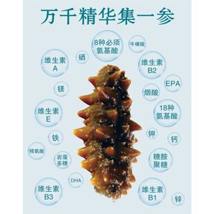 大连即食辽海参图片餐厅装饰墙贴画纸图喷绘海报辽参新鲜海参贴纸