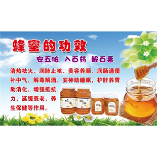 蜂蜜的功效安五脏入百药解百毒海报展板蜂王浆保真保纯墙贴墙纸