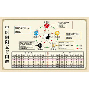 中医养生馆五行图解挂图挂画墙贴 人体五行五脏相生相克贴图海报