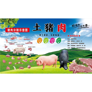 士猪肉海报展板土猪肉猪肉分割示意图农家土黑猪墙贴墙纸装饰画