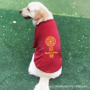 背心大中型犬金毛拉布拉多萨摩耶防掉毛薄款 狗狗衣服夏季 宠物衣服