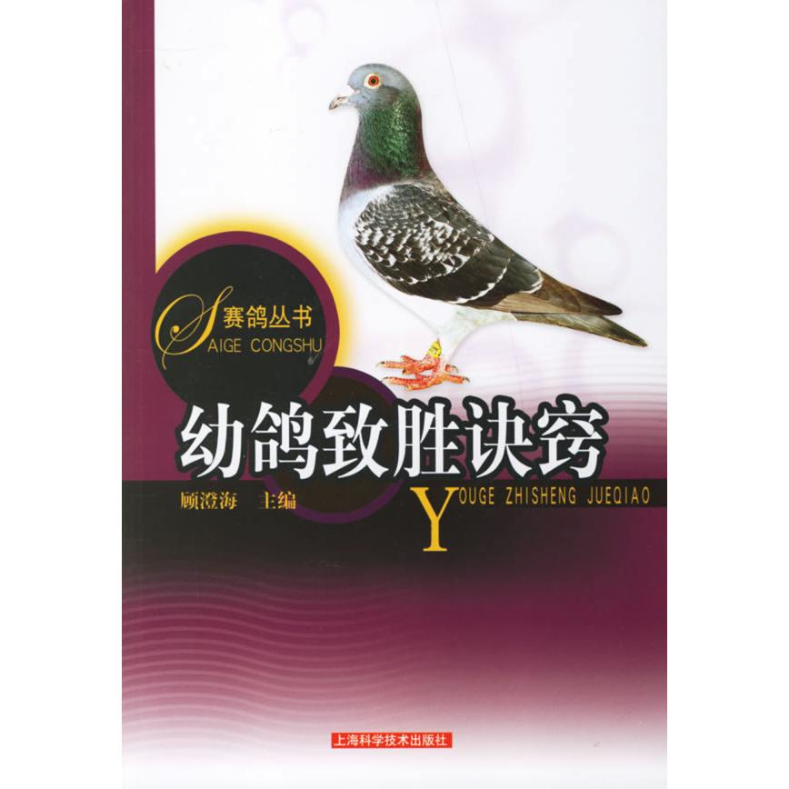 正版幼鸽致胜诀窍(赛鸽丛书)