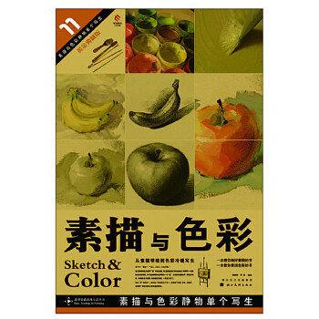 正版造型基础训练方法丛书素描与色彩静物单个写生11