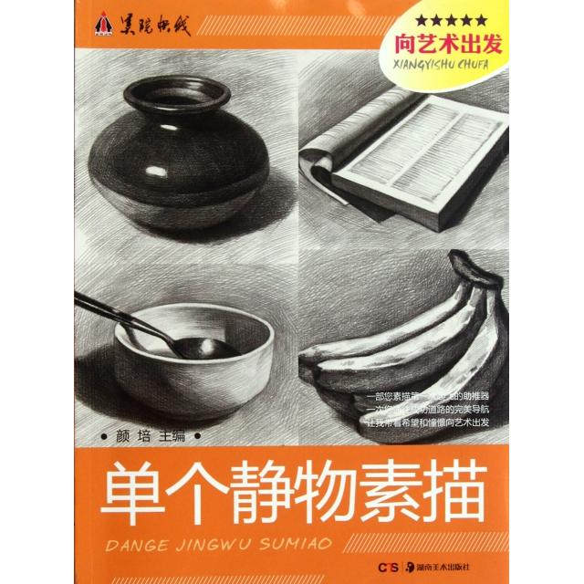 正版单个静物素描/向艺术出发