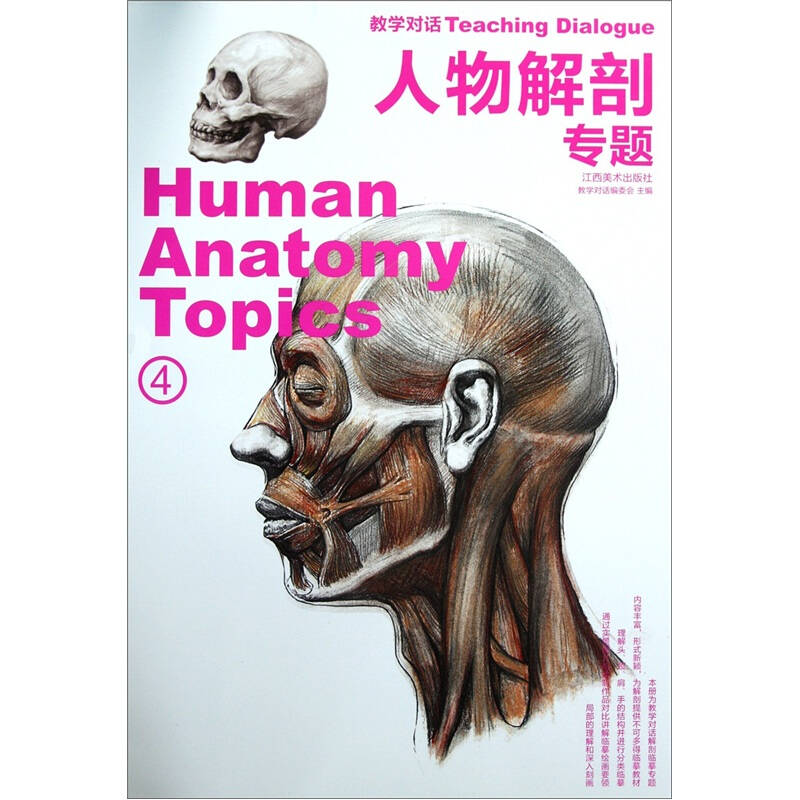 正版人物解剖专题