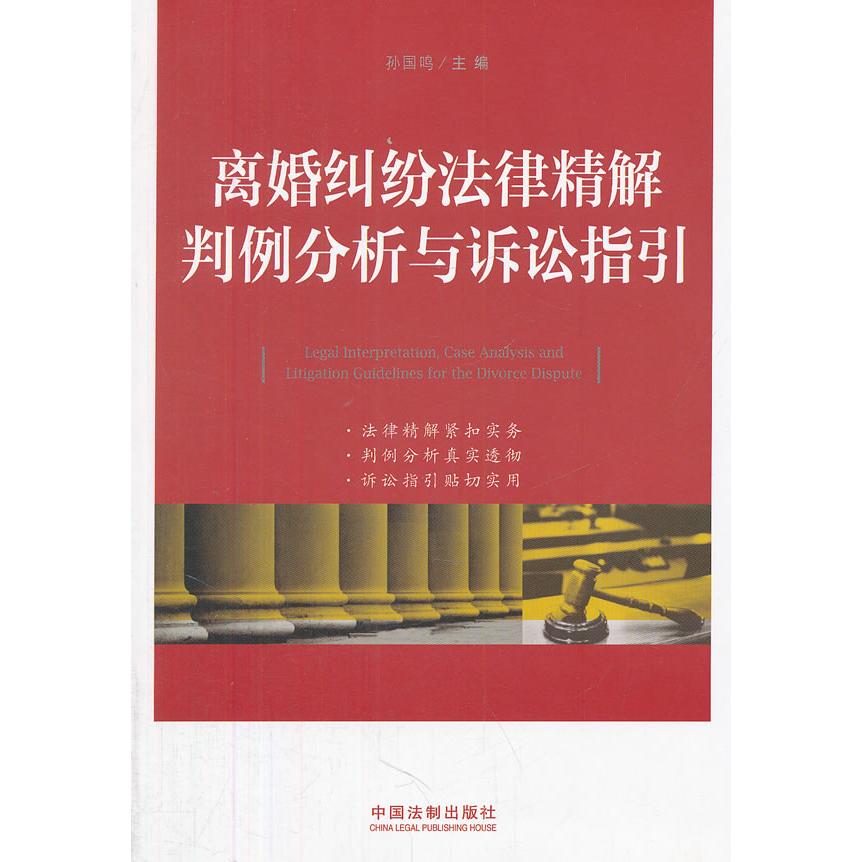 正版离婚纠纷法律精解、判例分析与诉讼指引