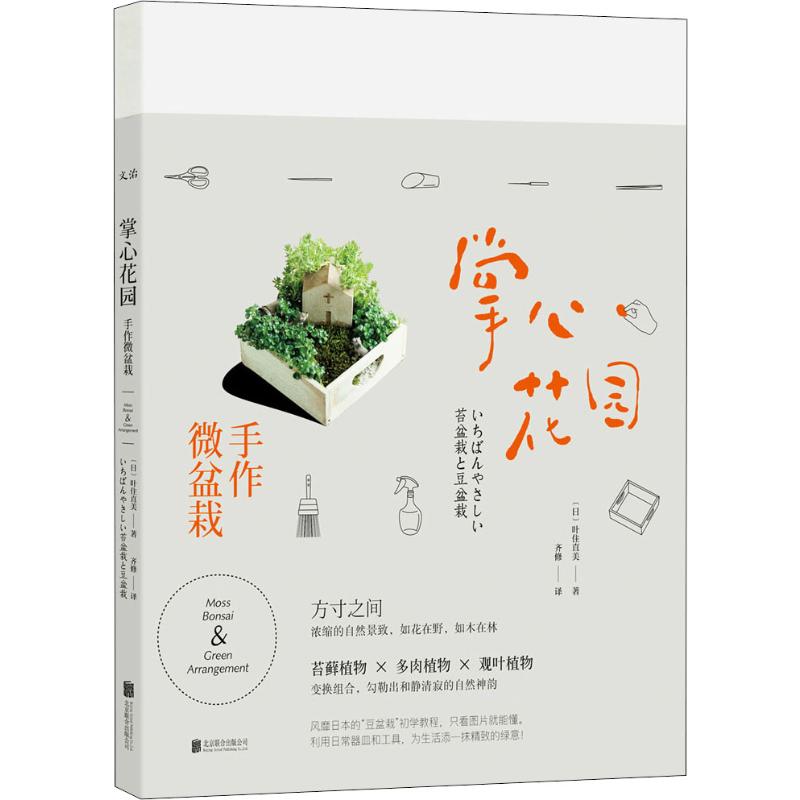 正版掌心花园 手作微盆栽