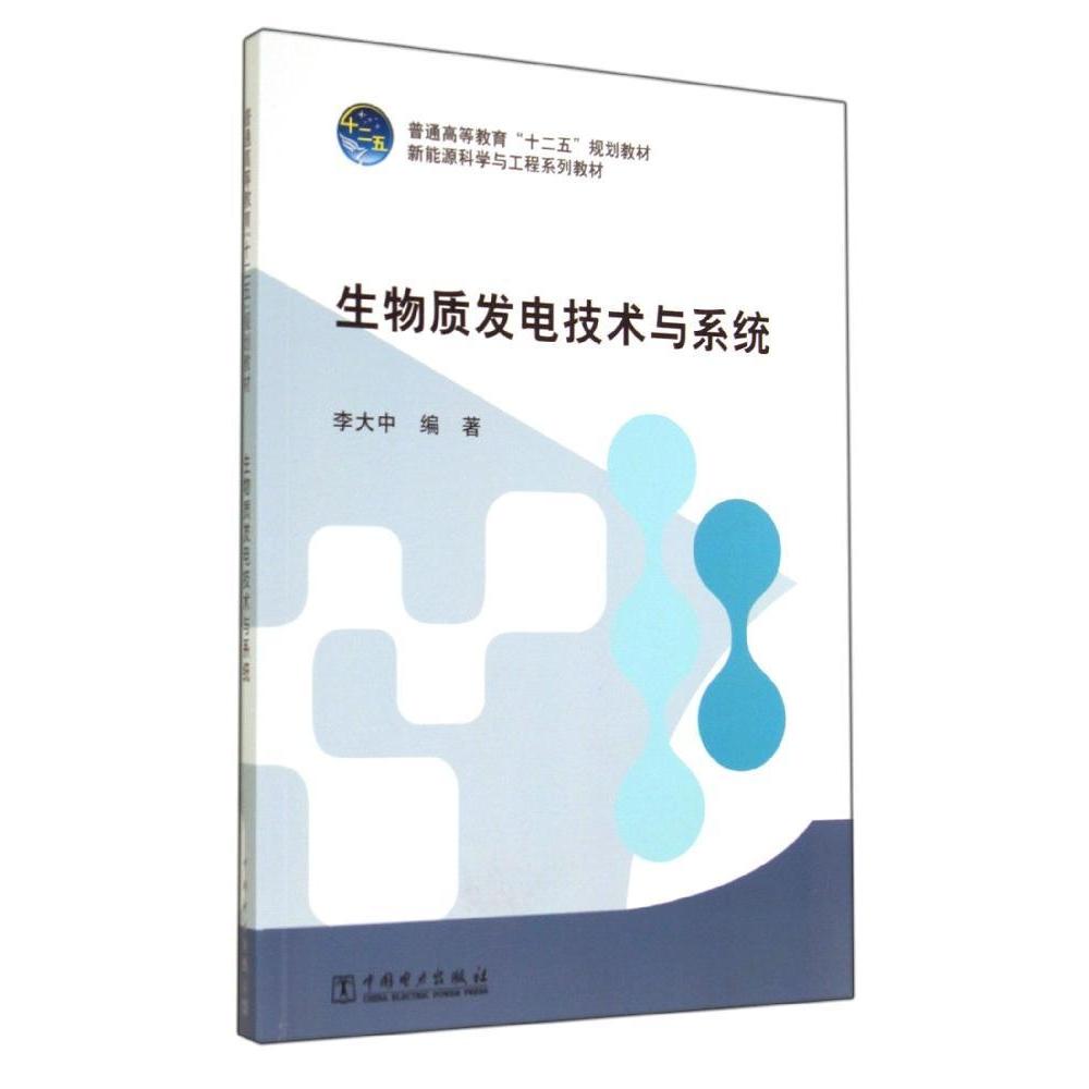 正版生物质发电技术与系统/李大中/普通高等教育十二五规划教材