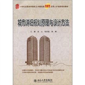 正版城市详细规划原理与设计方法