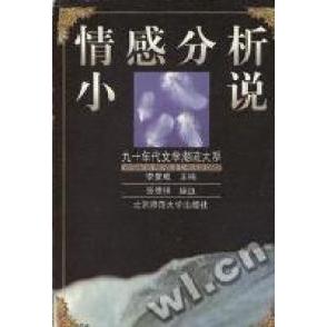 正版情感分析小说