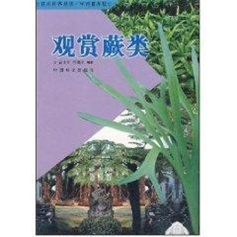 正版观赏蕨类//花卉世界丛书