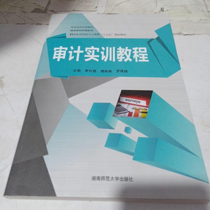 正版审计实训教程