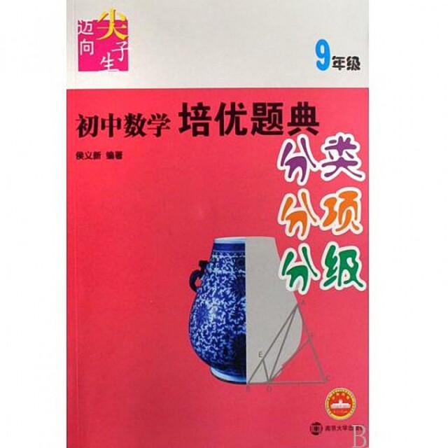 正版初中数学培优题典分类分项分级(9年级)/迈向尖子生