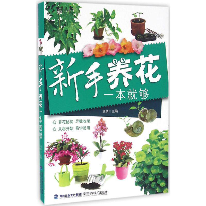 正版新手养花一本就够
