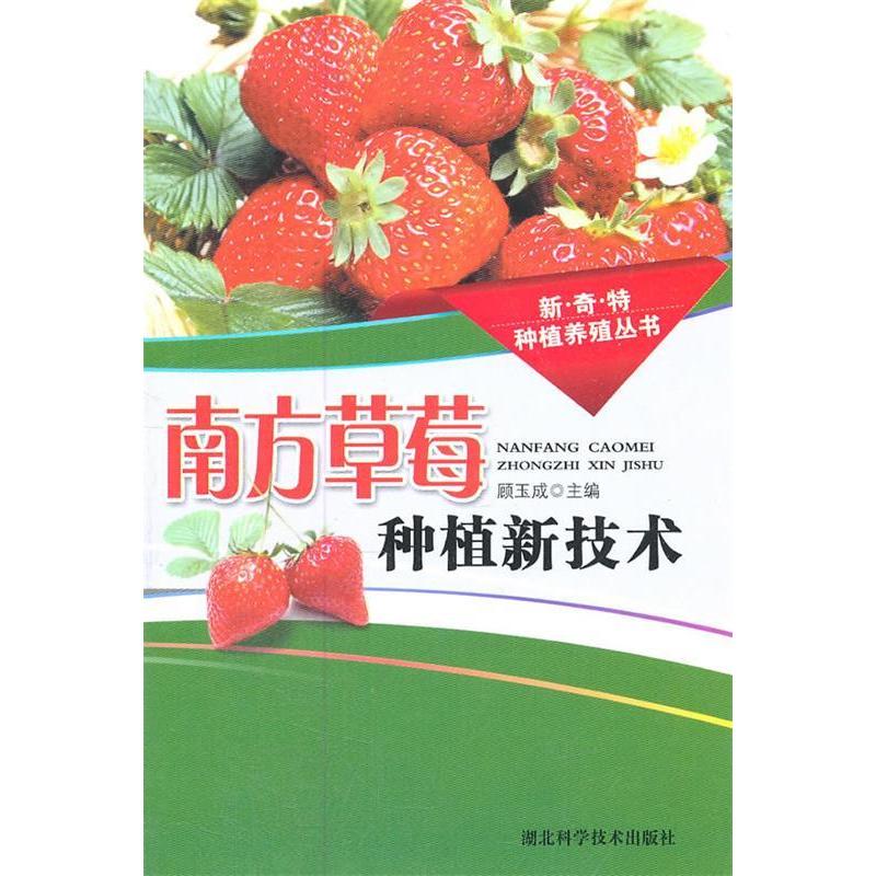 正版南方草莓种植新技术