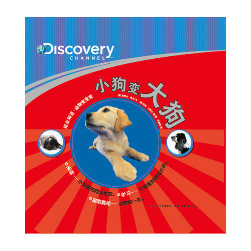 正版探索频道-动物变变变-小狗变大狗