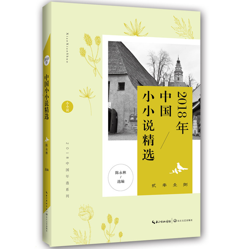 正版2018年中国小小说精选
